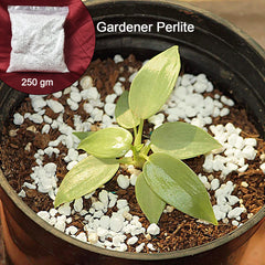 Gardening Perlite