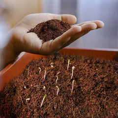 Cocopeat Fertilizer
