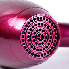 Professional Hair Dryer