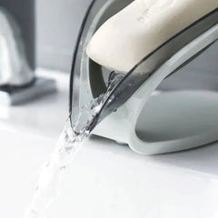 Soap Stand and Case