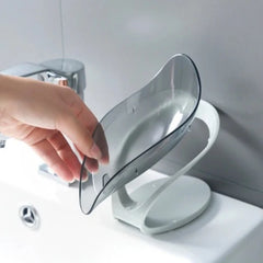 Soap Stand and Case