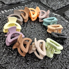 Small Hair Clips