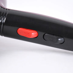 Professional Hair Dryer
