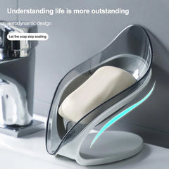 Soap Stand and Case