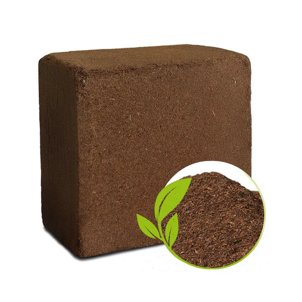 Cocopeat Fertilizer