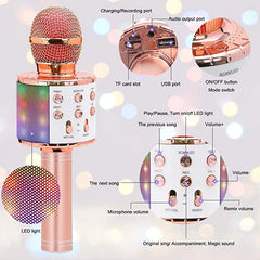 Karaoke Microphone Speaker