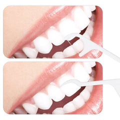Dental Floss Sticks