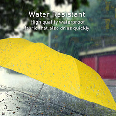Folding Umbrella