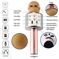 Karaoke Microphone Speaker