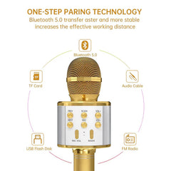 Karaoke Microphone Speaker