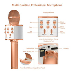 Karaoke Microphone Speaker